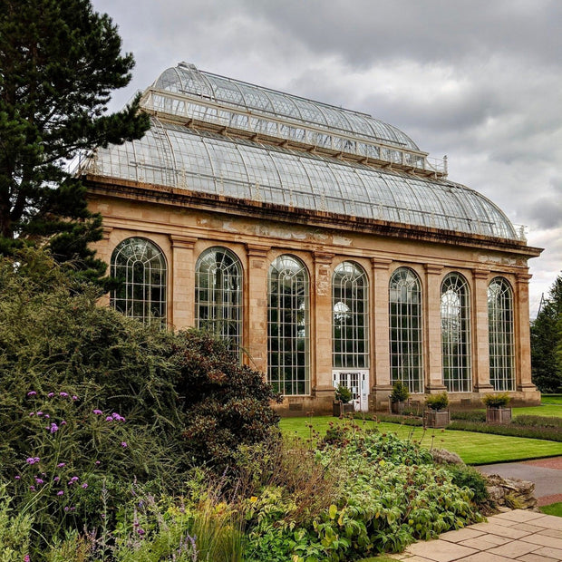 L'Orangerie